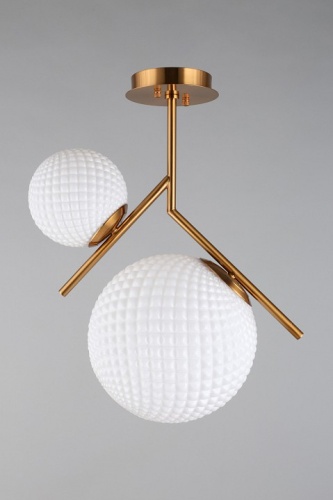 Светильник на штанге Aployt Marzena APL.300.07.02 в Нижнем Новгороде фото 2