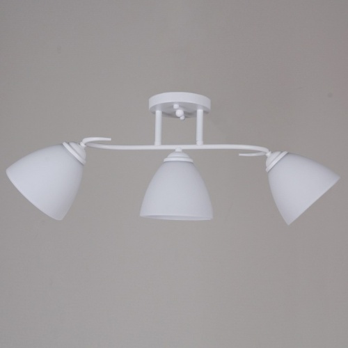 Люстра на штанге  44560-0.3-03 WH в Нижнем Новгороде фото 3