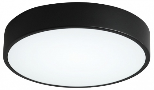 Накладной светильник Zortes Tortty ZRS.02563.48 в Нижнем Новгороде