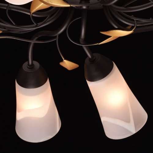 Потолочная люстра MW-Light Восторг 15 242015410 в Нижнем Новгороде фото 11