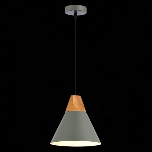 Подвесной светильник EVOLUCE Modica SLE125113-01 в Нижнем Новгороде фото 4