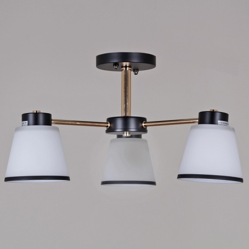 Люстра на штанге  30560-0.3-03 BK+FG в Нижнем Новгороде фото 3