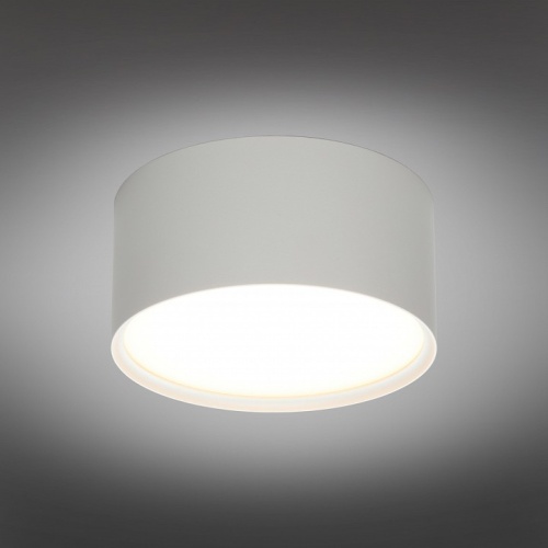 Накладной светильник Omnilux Abano OML-103309-12 в Белово фото 5