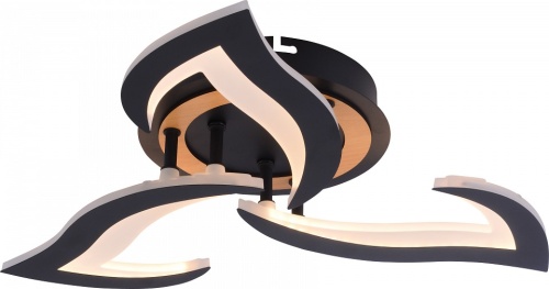 Люстра на штанге Rivoli Cassandra 6194-703 в Нижнем Новгороде фото 4