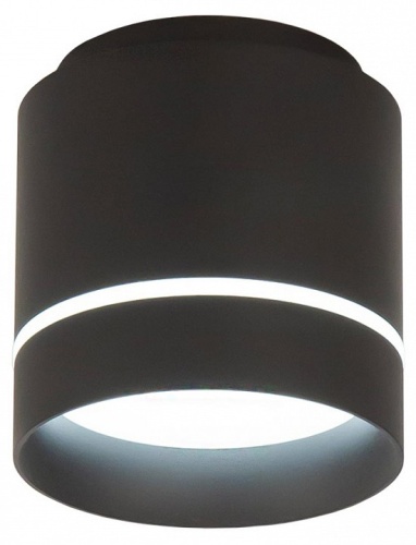 Накладной светильник Citilux Борн CL745021N в Радужном