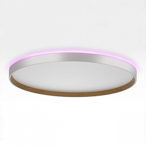 Накладной светильник Citilux ETALON CL750500R в Нижнем Новгороде фото 6