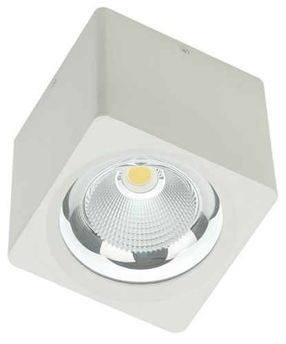 Накладной светильник Fiberli CH-SD220 12120103 в Нижнем Новгороде