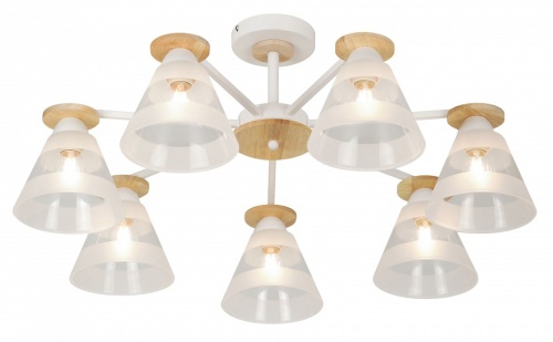 Потолочная люстра Rivoli Theothila Б0068395 в Нижнем Новгороде фото 10