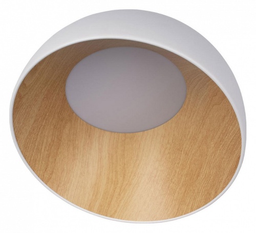 Накладной светильник Loft it Egg 10197/350 White в Ревде фото 2