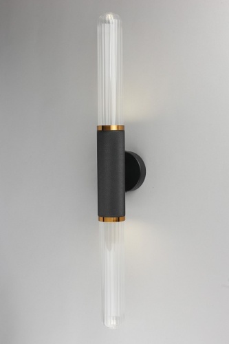 Бра Aployt Brynia APL.307.01.02 в Нижнем Новгороде фото 5