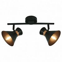 Спот Arte Lamp Baltimore A1406AP-2BK в Волгограде