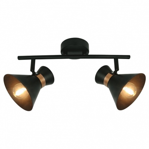 Спот Arte Lamp Baltimore A1406AP-2BK в Кирове