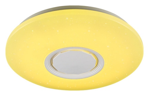 Накладной светильник Ambrella Light FF FF201 в Нижнем Новгороде фото 3