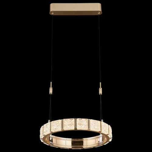 Подвесной светильник Wertmark Vera WE458.01.303 в Нижнем Новгороде фото 2