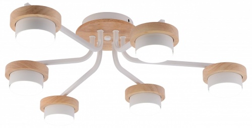 Потолочная люстра Rivoli Lois 3186-306 в Нижнем Новгороде