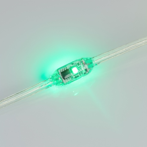 Модуль управляемый SPI-F2-D11 12V RGB (0.65W, IP66, 360 deg) (Arlight, Пластик, 3 года) в Соль-Илецке фото 3