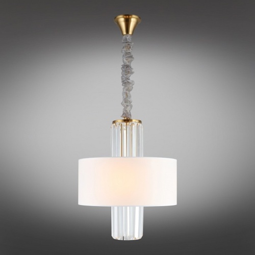 Подвесной светильник Aployt Karola APL.841.13.04 в Нижнем Новгороде фото 3