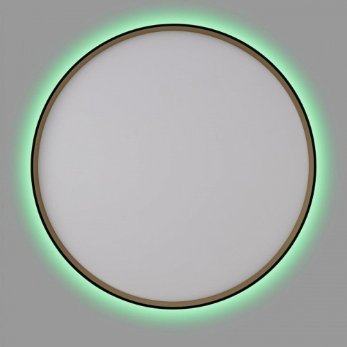 Накладной светильник Citilux ETALON CL750501R в Нижнем Новгороде фото 4