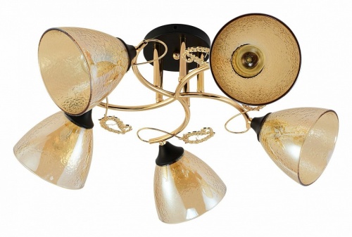 Потолочная люстра 01321-0.3-05 FGD+BK в Нижнем Новгороде