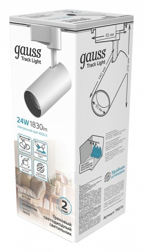 Светильник на штанге Gauss TR TR070 в Нижнем Новгороде фото 3