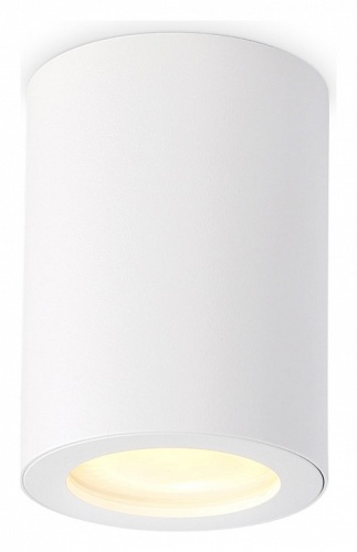 Накладной светильник Ambrella Light TN TN22797 в Нижнем Новгороде