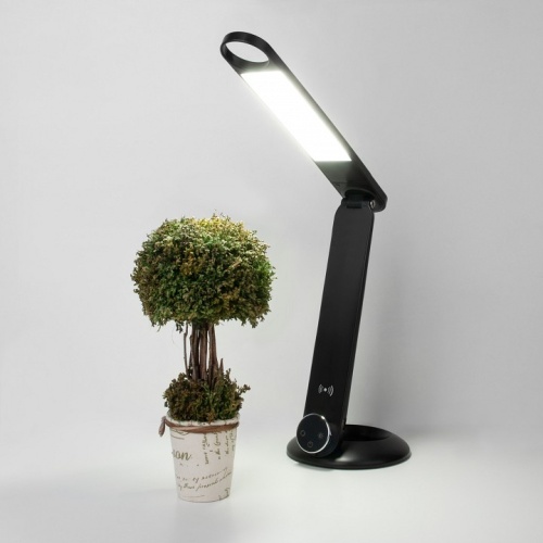 Настольная лампа офисная Eurosvet Action 80428/1 черный в Нижнем Новгороде фото 3