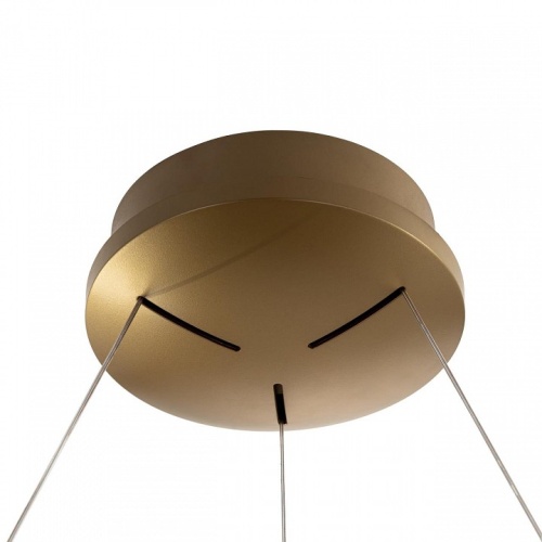 Подвесной светильник Citilux PYTHON CL220263 в Нижнем Новгороде фото 3