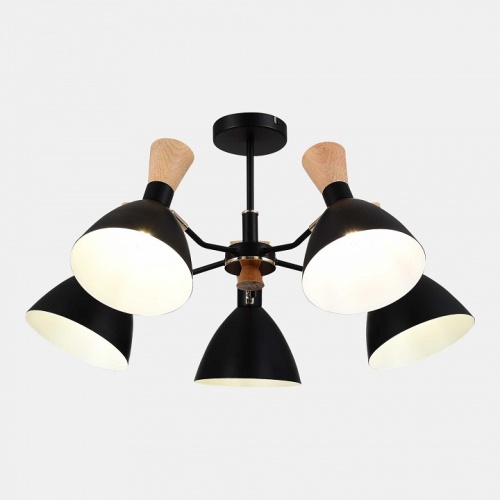 Люстра на штанге EVOLUCE VISTA SLE1256-402-05 в Нижнем Новгороде фото 9