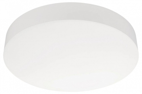 Накладной светильник Arlight IM-FLOWER-EMERGENCY 042570 в Нижнем Новгороде