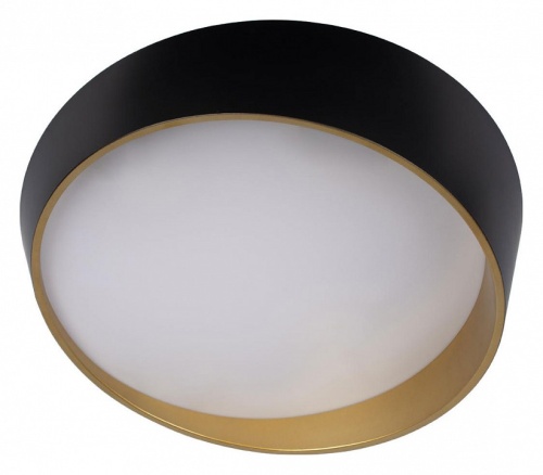 Накладной светильник Loft it Coin 10199 Black в Нижнем Новгороде фото 2