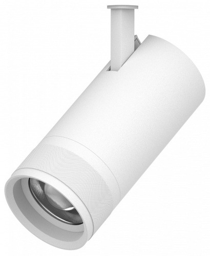 Светильник на штанге Lightstar Canno Pro 304306 в Нижнем Новгороде