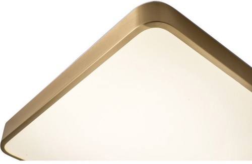 Накладной светильник Zortes Monna ZRS.1209.03 в Нижнем Новгороде фото 3