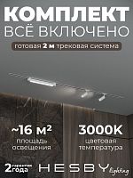 Комплект трековый Hesby Lighting Skylite №5 HSBL_kompl_S005_VI2W3K в Нижнем Новгороде