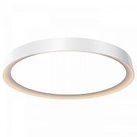 Накладной светильник Maytoni Incognito MOD426CL-L43WK в Нижнем Новгороде