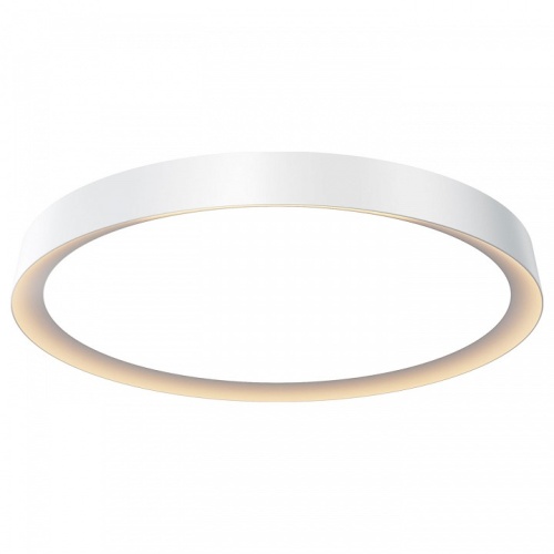 Накладной светильник Maytoni Incognito MOD426CL-L43WK в Нижнем Новгороде