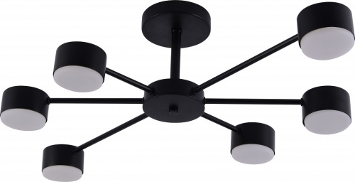 Потолочная люстра Rivoli Lesley 3185-306 в Нижнем Новгороде фото 3