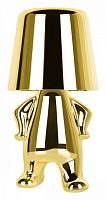 Настольная лампа декоративная Loft it Brothers 10233/C Gold в Иланском