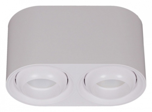 Накладной светильник 16123-9.5-002 GU10 WT в Нижнем Новгороде