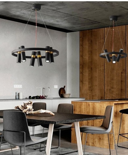 Подвесная люстра Zortes Tweeny ZRS.1828.50 в Нижнем Новгороде фото 6