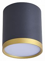 Накладной светильник Favourite Baral 3081-1C в Мегионе