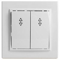 Переключатель двухклавишный Stekker Эрна 39919 в Нижнем Новгороде