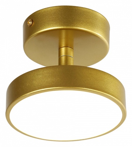 Светильник на штанге F-promo Atma 3059-1P в Нижнем Новгороде фото 3