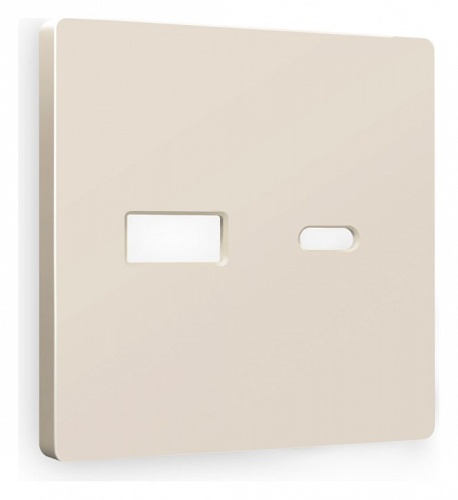 Накладка для розетки type A и C Ambrella Volt ALFA AP3310 в Нижнем Новгороде