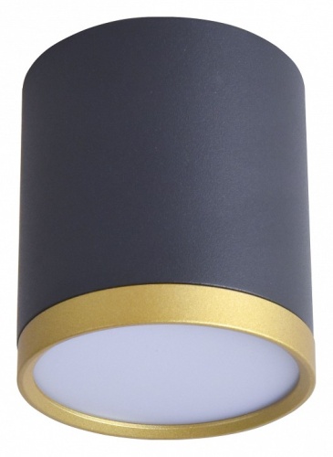 Накладной светильник Favourite Baral 3081-1C в Дудинке