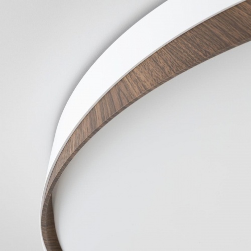 Накладной светильник Citilux BONNY CL754450G в Нижнем Новгороде фото 7