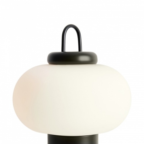 Настольная лампа декоративная Freya Take FR6175TL-L10B в Нижнем Новгороде фото 2