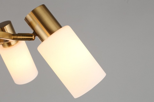 Подвесная люстра Omnilux Ales OML-69103-06 в Нижнем Новгороде фото 2