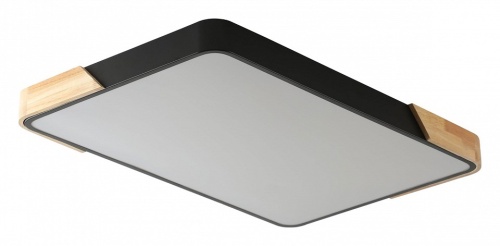 Накладной светильник Zortes Alberro ZRS.01244.60 в Нижнем Новгороде фото 3