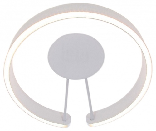 Накладной светильник Mizi`en Leo MZ31371-400-PW в Нижнем Новгороде фото 2