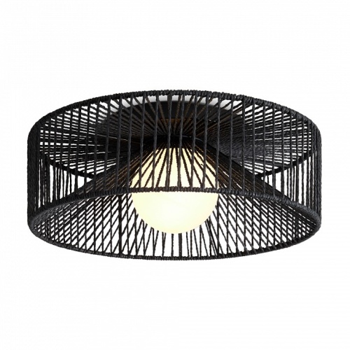 Накладной светильник Freya Cottage FR5405CL-01B в Нижнем Новгороде фото 3